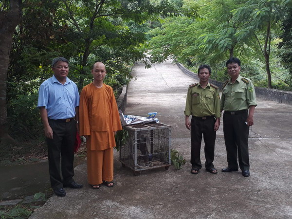 Trung tâm Cứu hộ, Bảo tồn và Phát triển sinh vật vườn quốc gia Bạch Mã tái thả động vật hoang dã về với môi trường tự nhiên