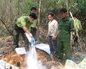 Vườn quốc gia Bạch Mã: Tiêu hủy 30 kg thịt heo rừng, phạt 2.000.000 đồng đối với các đối tượng vi phạm
