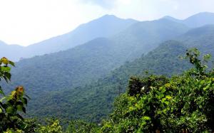 Trên đỉnh núi thiêng Bạch Mã - Kỳ 1: Rừng mưa nhiều nhất Việt Nam