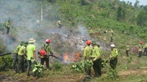 Vườn quốc gia Bạch Mã tổ chức diễn tập phòng cháy, chữa cháy rừng năm 2016