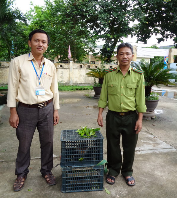 Vườn quốc gia Bạch Mã tiếp nhận cá thể Voọc chà vá chân nâu từ người dân bàn giao